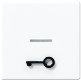 A590T1KOWW 1-ая клавиша с окошком, символ "ключ", бел. Jung A серия