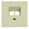 LS969-2UA LS 990 Бежевый Накладка 2-ой наклонной ТЛФ/комп розетки Jung LS серия