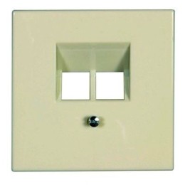 LS969-2UA LS 990 Бежевый Накладка 2-ой наклонной ТЛФ/комп розетки Jung LS серия