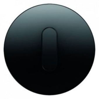 10012045 Накладка с ручкой для поворотных переключателей, R.1, цвет: черный Berker