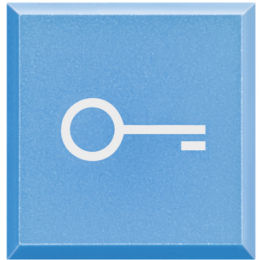 H4920LF Axolute Сменные клавиши с символами для кнопок с подсветкой HC-HS-4038LA/Ключ Bticino