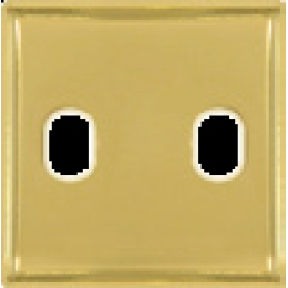 FD04321OB-A Латунная накладка под 2 тумблера , цвет Bright Gold+beige FEDE