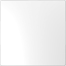 MTN4075-6035 D-life заглушка, бел. лотос Merten