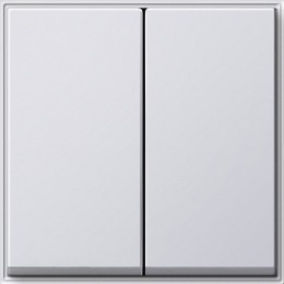 029566 Клавиша двойная Белый Gira TX44