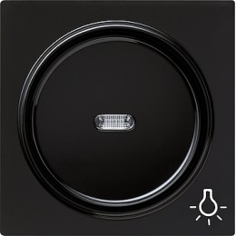 028547 Клавиша с символом "свет" Черный Gira S-color