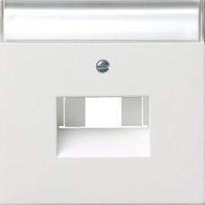 0284112 Накладка 50*50 мм для розеток UAE/IAE с полем для надписи Белый Gira F100 0284112 Накладка 50*50 мм для розеток UAE/IAE с полем для надписи Белый Gira F100