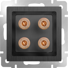 WL04-AUDIOx4 Акустическая розетка (графит рифленый) Antik Werkel a046595