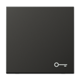 AL2990TAN Клавиша для выключателя Jung LS серия