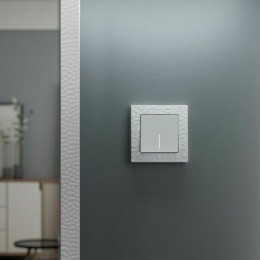 W1110161 Выключатель одноклавишный с подсветкой (белый матовый) Antik Werkel a059270