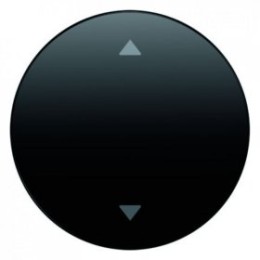 16202005 Клавиша с оттиском символа "Стрелки", R.1/R.3, цвет: черный Berker