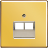 GO2969-2UA LS 990 Блеск золота Накладка 2-ой наклонной ТЛФ/комп розетки Jung LS серия