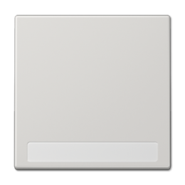 LS990NALG LS 990 Светло-серый Клавиша 1-я с полем для надписи  Jung LS серия