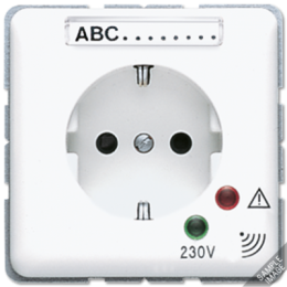 CD521KINAUFLG SCHUKO-розетка 16А 250V~ с защитой от перенапряжения светло-серая Jung