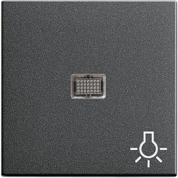 063028 Клавиша с больш окном пикт-мой Свет Антрацит Gira