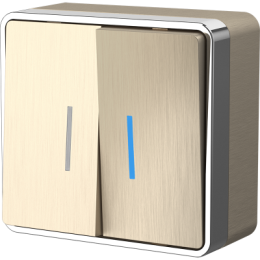 WL15-03-03 Выключатель двухклавишный с подсветкой Gallant (шампань рифленый) Gallant Werkel a041423