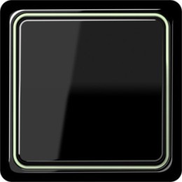 CDP81LGN Рамка внутренняя CD Plus Светло-зеленый 1-постовая Jung