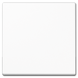 A590WW А 500 Белый Клавиша 1-я    Jung A серия