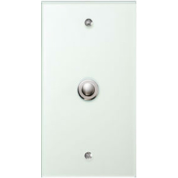 1391 Стеклянная накладка TS Прозрачный 1-постовая Berker