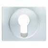 15050079 Центральная панель для замочных выключателей/кнопок цвет: полярная белизна, с блеском Arsys Berker
