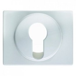 15050079 Центральная панель для замочных выключателей/кнопок цвет: полярная белизна, с блеском Arsys Berker