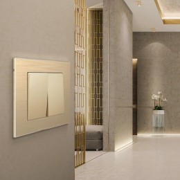 W0011711 Рамка на 1 пост (Шампань) Aluminium Werkel a052312