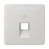 CD569-1NAUALG CD 500/CD plus Светло-серый Накладка 1-ой наклонной ТЛФ/комп розетки с полем для надписи Jung