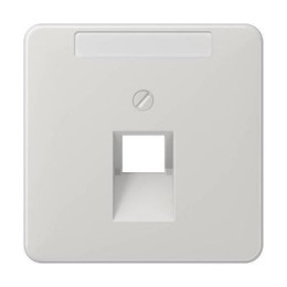 CD569-1NAUALG CD 500/CD plus Светло-серый Накладка 1-ой наклонной ТЛФ/комп розетки с полем для надписи Jung