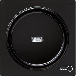 028747 Клавиша с символом "ключ" Черный Gira S-color