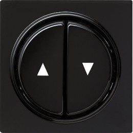 029447 Двойная клавиша для жалюзи со стрелками Черный Gira S-color