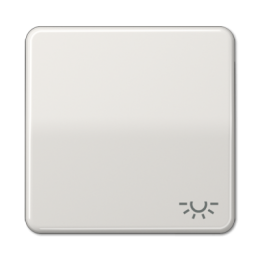 CD590LLG CD 500/CD plus Светло-серый Клавиша 1-я с символом "ОСВЕЩЕНИЕ" Jung