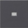 029828 Клавиша с большим конрольным окошком Антрацит Gira