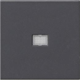 029828 Клавиша с большим конрольным окошком Антрацит Gira