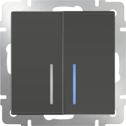 WL07-SW-2G-2W-LED Выключатель двухклавишный проходной с подсветкой (серо-коричневый) Antik Werkel a035911