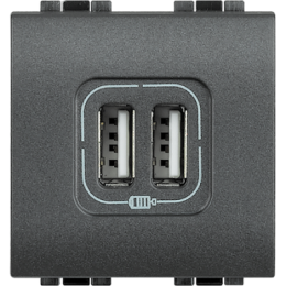 L4285C2 LivingLight разъем д/зарядки 2хUSB ант Bticino