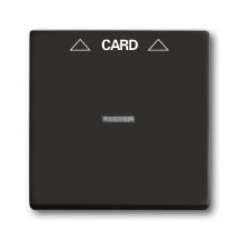 1710-0-3933 (1792-95-507), Плата центральная (накладка) для механизма карточного выключателя 2025 U, серия Basic 55, цвет chateau-black, ABB