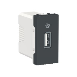 NU342854 Розетка USB, 5 В / 1000 мА, 1 Модуль Антрацит Schneider Electric
