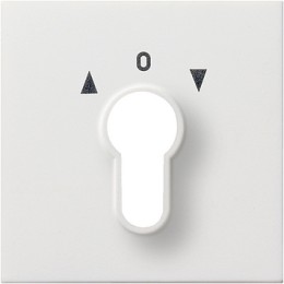 0664112 Накладка выключателя с ключом Белый Gira F100