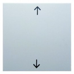 16201919 Перекидной выключатель с оттиском Стрелки цвет: полярная белизна, матовый S.1/B.1/B.3/B.7 Glas Berker