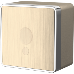 WL15-16-01 Вывод кабеля Gallant (шампань рифленый) Gallant Werkel a041424