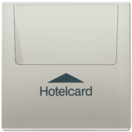 ES2990CARD Накладка карточного выключателя "HOTELCARD" Jung LS серия