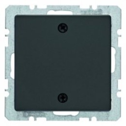 10096076 Заглушка с центральной панелью и винтовым креплением, Q.3, цвет: антрацитовый, с эффектом бархата Berker