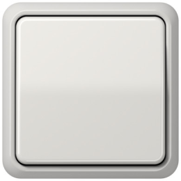 CD581WULG Рамка CD Ударопрочная Светло-серый 1-постовая Jung