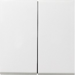 0295112 Клавиша двойная Белый Gira F100