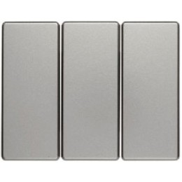 14659004 Клавиши для трехклавишного выключателя цвет: стальной, лак Arsys Berker