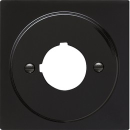 027247 Накладка с опорной пластиной для крепления командный и сообщающих устройств 22,5 мм Черный Gira S-color