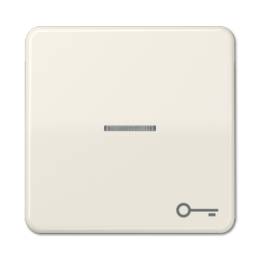 CD590KO5T CD 500/CD plus Бежевый Клавиша 1-я с/п с символом "КЛЮЧ" Jung