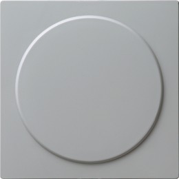 026842 Заглушка с опорной платой Серый Gira S-color