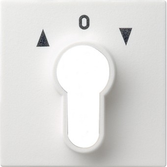 066403 Накладка выключателя с ключом для жалюзи белый глянец Белый Gira