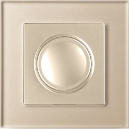 WL01-Frame-01 Рамка на 1 пост (шампань) Favorit Werkel a040870