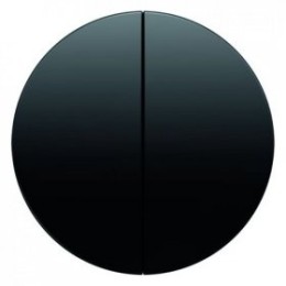 16232045 Клавиша двойная, цвет: черный глянцевый R.1/R.3 Berker